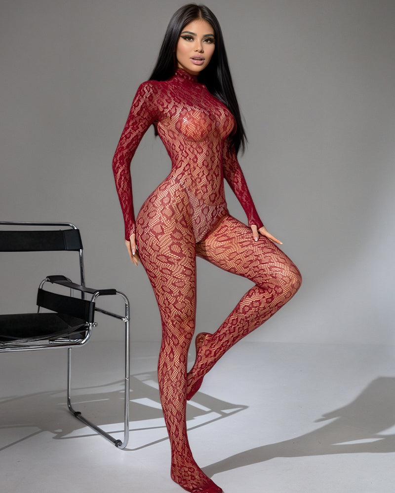 Stretchy Sheer Full Body Bodystockings
