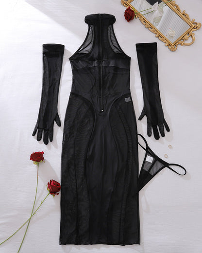 Sheer Mesh Dress with Gloves